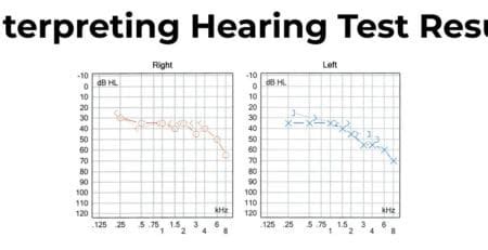 is the meps hearing test hard|speech recognition test online.